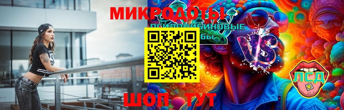 Псилоцибиновые грибы Psilocybine cubensis  Вход с VPN  Бахчисарай 